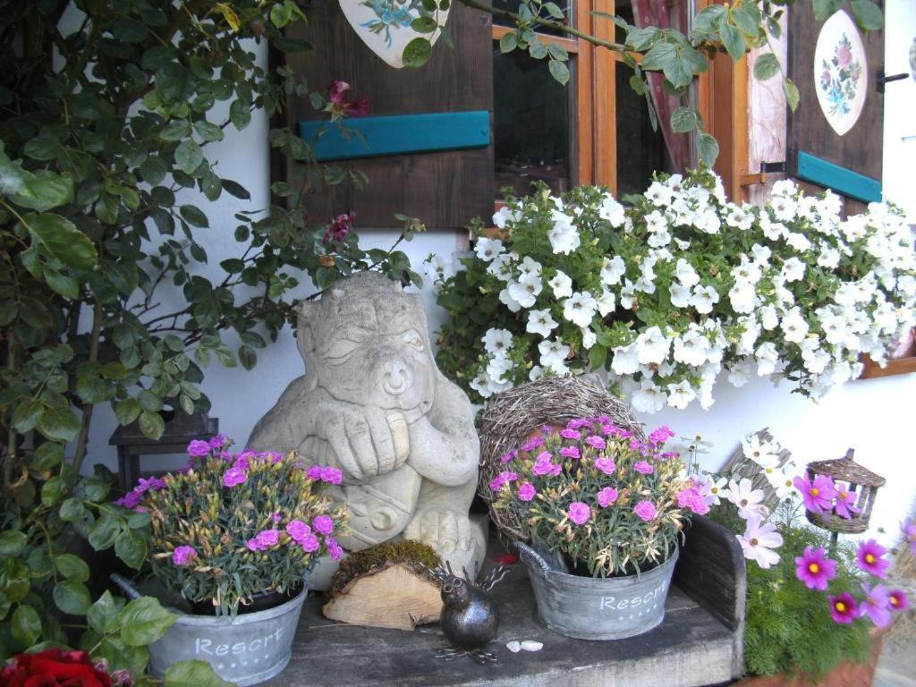 Pension Louise 3*